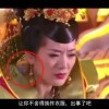 49图库电脑版本
